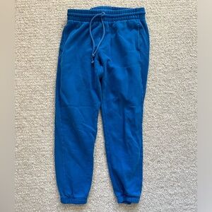 Aritzia sweatpants